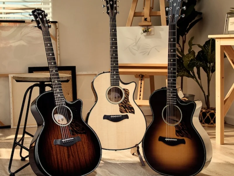 Taylor Guitars | ギターとアクセサリーを買う