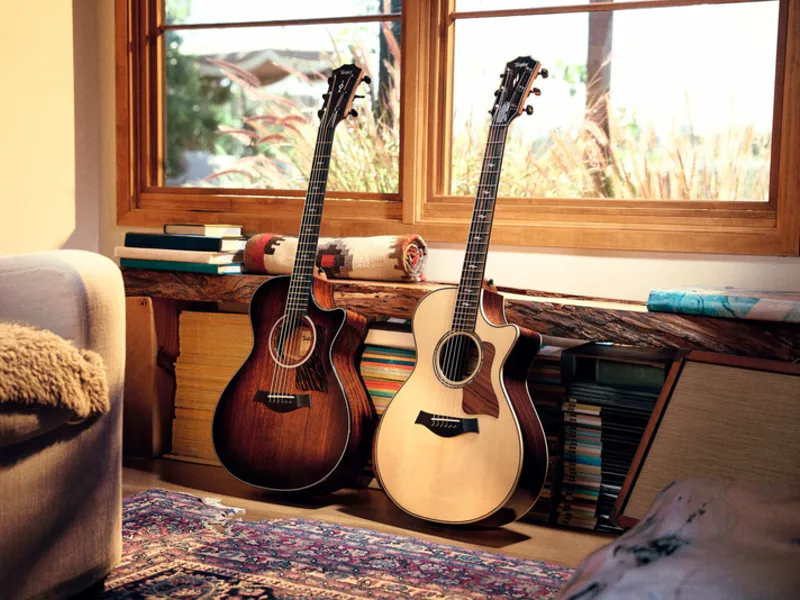 Taylor Guitars | ギターとアクセサリーを買う