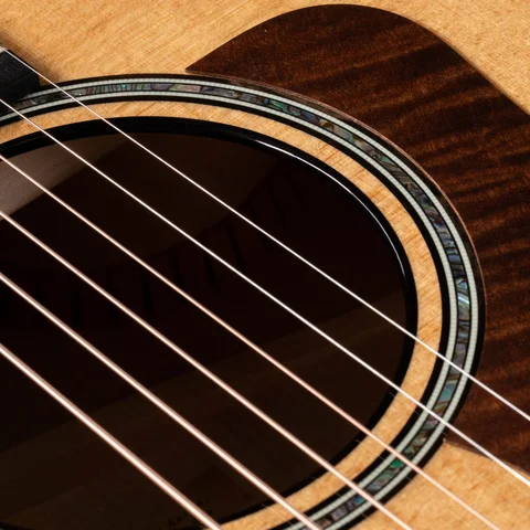 600 Series アコースティックギター | Taylor Guitars