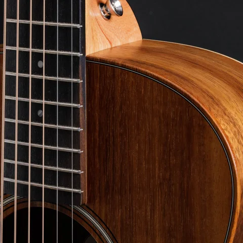ミニギター： GS Mini シリーズ | Taylor Guitars