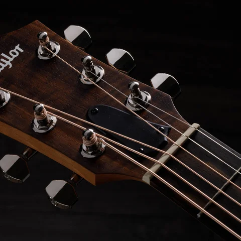 ミニギター: GS Mini シリーズ | Taylor Guitars