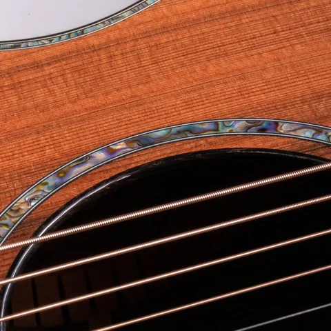 PS12ce 12-Fret Honduran Rosewood