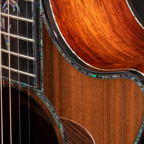 PS12ce 12-Fret Honduran Rosewood