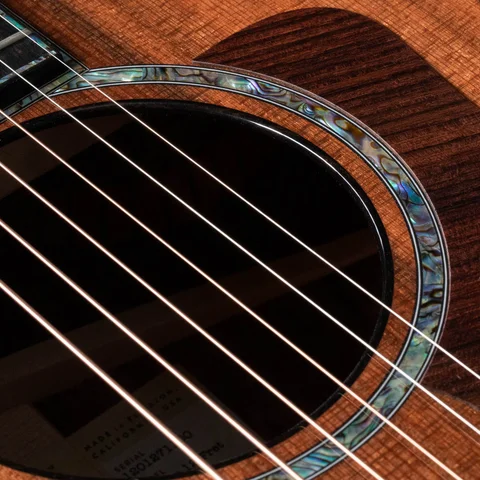 PS12ce 12-Fret Honduran Rosewood