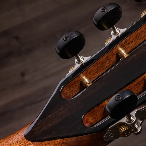 PS12ce 12-Fret Honduran Rosewood