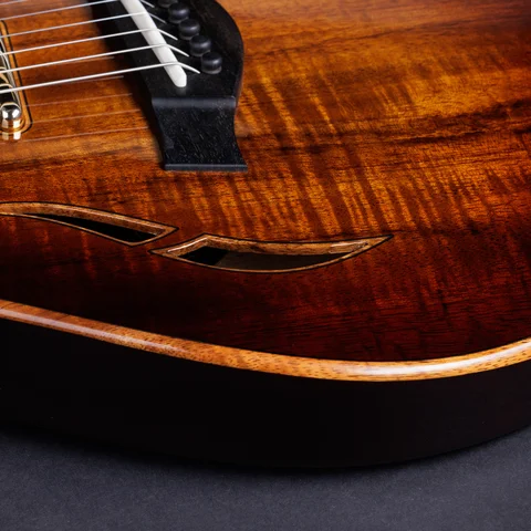 【MIYAVI世界デビュー時のT5改良品】Taylor T5z　ハードケース付 Taylor Guitars