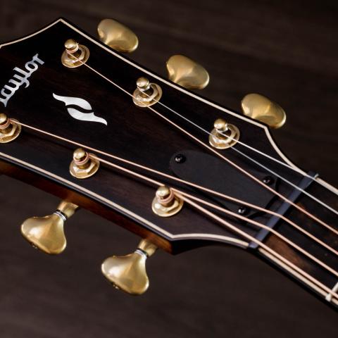 Taylor110純正キグバック付き。 Amazon.co.jp: Taylor Guitars ベビー