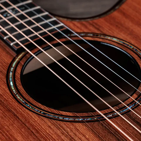 900 Series アコースティックギター | Taylor Guitars