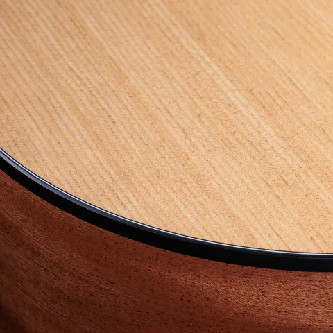 100 Series アコースティックギター | Taylor Guitars