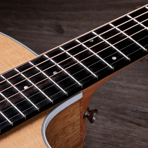 ギター 200 Series アコースティックギター | Taylor Guitars