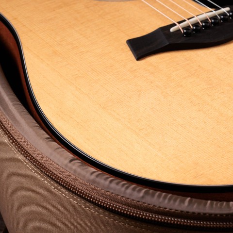 Amazon | Taylor ハードシェルケース GCシリーズ用