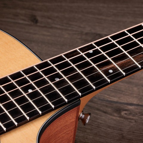 Taylor Guitars