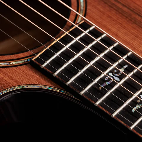 とにーTaylor アコースティックギター エレクトリック搭載 900 Series アコースティックギター | Taylor Guitars