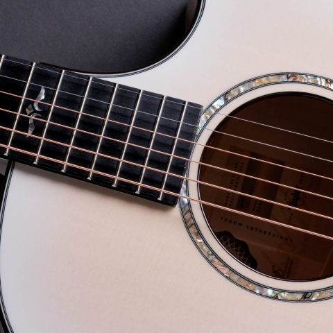 50th Anniversary 614ce LTD