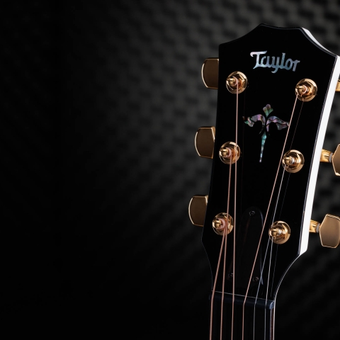 50th Anniversary 614ce LTD