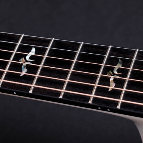 50th Anniversary 614ce LTD