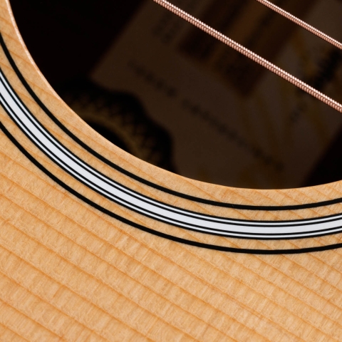 50th Anniversary GS Mini-e Rosewood LTD