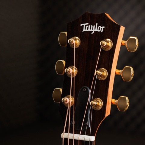 50th Anniversary GS Mini-e Rosewood LTD
