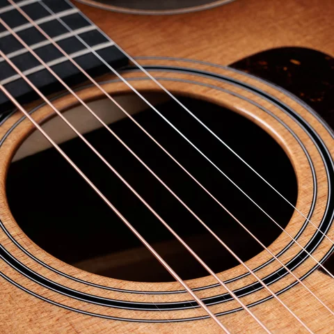 300 Series アコースティックギター | Taylor Guitars