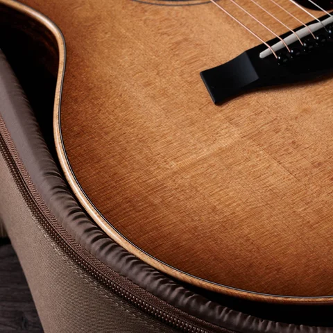 300 Series アコースティックギター | Taylor Guitars