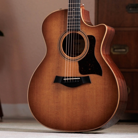 Taylor Guitars
