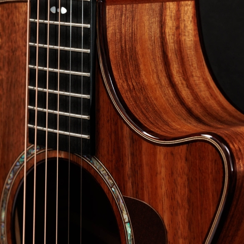 アコースティックギター | Taylor Guitars