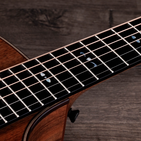 Taylor-722ce-1207234010-