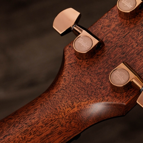 とにーTaylor アコースティックギター エレクトリック搭載 アコースティックギター | Taylor Guitars
