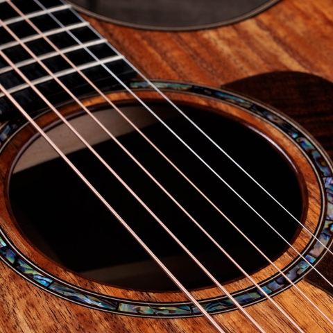 Taylor アコースティックギター ナチュラル アコースティックギター】Taylor 2013年日本限定モデルが発表