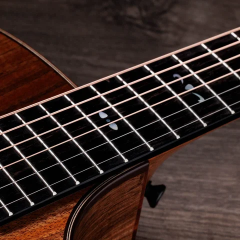 テイラーギター 700 Series アコースティックギター | Taylor Guitars