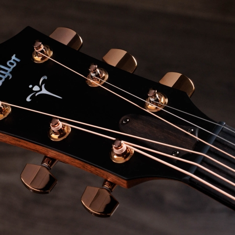 700 Series アコースティックギター | Taylor Guitars