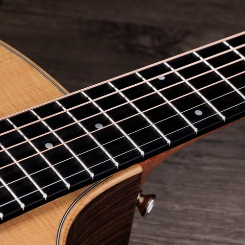 2024年の新アコースティックギター | Taylor Guitars