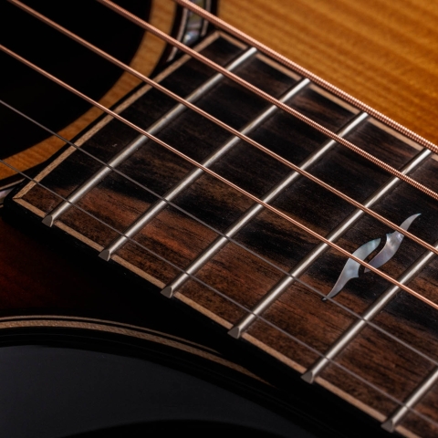 Builder's Edition 814ce Honduran Rosewood/Adirondack Spruce