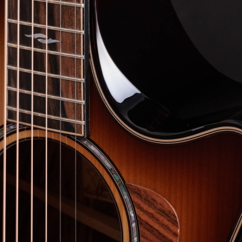 Builder's Edition 814ce Honduran Rosewood/Adirondack Spruce