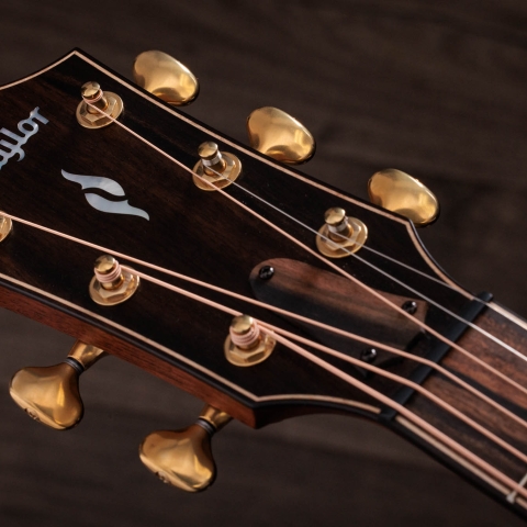 Builder's Edition 814ce Honduran Rosewood/Adirondack Spruce