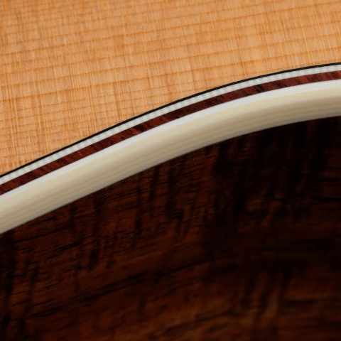 Gold Label 814e Koa