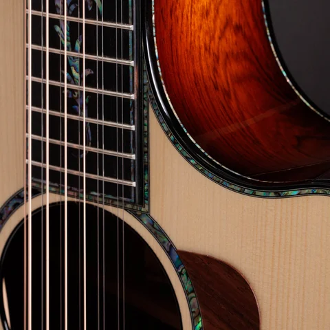 アコースティックギター | Taylor Guitars