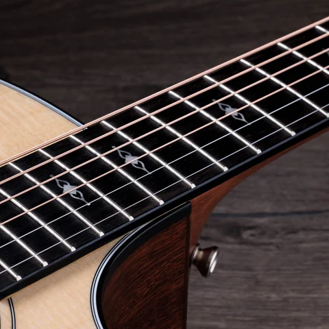 300 Series アコースティックギター | Taylor Guitars