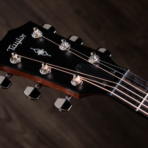 Taylor Guitars