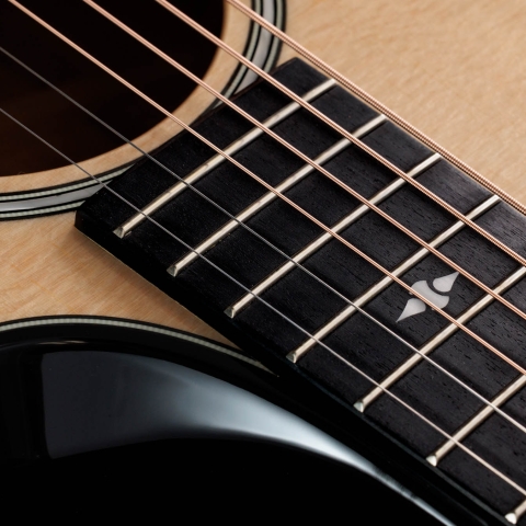2024年の新アコースティックギター | Taylor Guitars