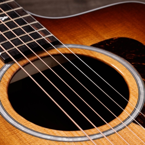 200 Series Acoustic Guitars | Taylor Guitars