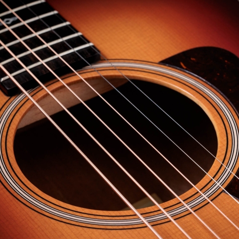 Sunset Blvd GS Mini-e Rosewood SEB
