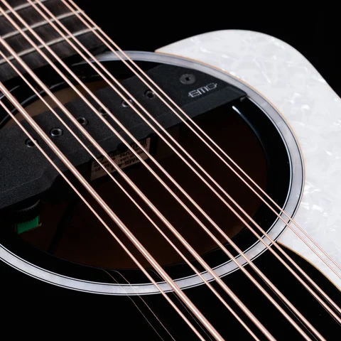 250ce Plus BLK Bajo Quinto