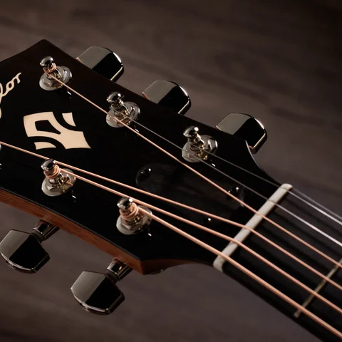Taylor Guitars
