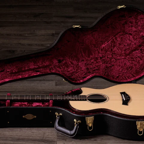 900 Series アコースティックギター | Taylor Guitars