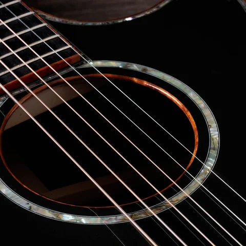 Guitars 4 Vets 814ce Special Edition Blacktop