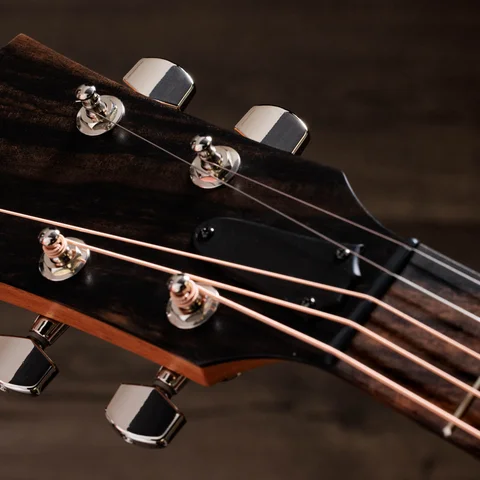 Jacob Collier Academy 22e 5-String 