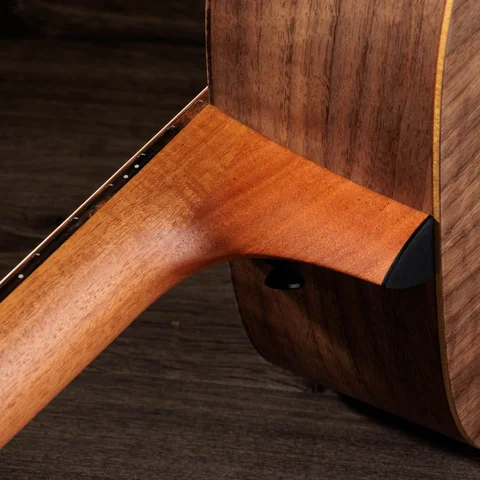 Jacob Collier Academy 22e 5-String 