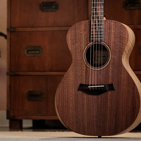 Jacob Collier Academy 22e 5-String 