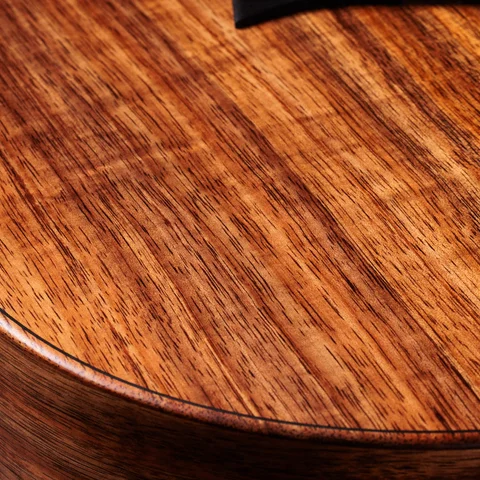 Jacob Collier Signature Model 5-String